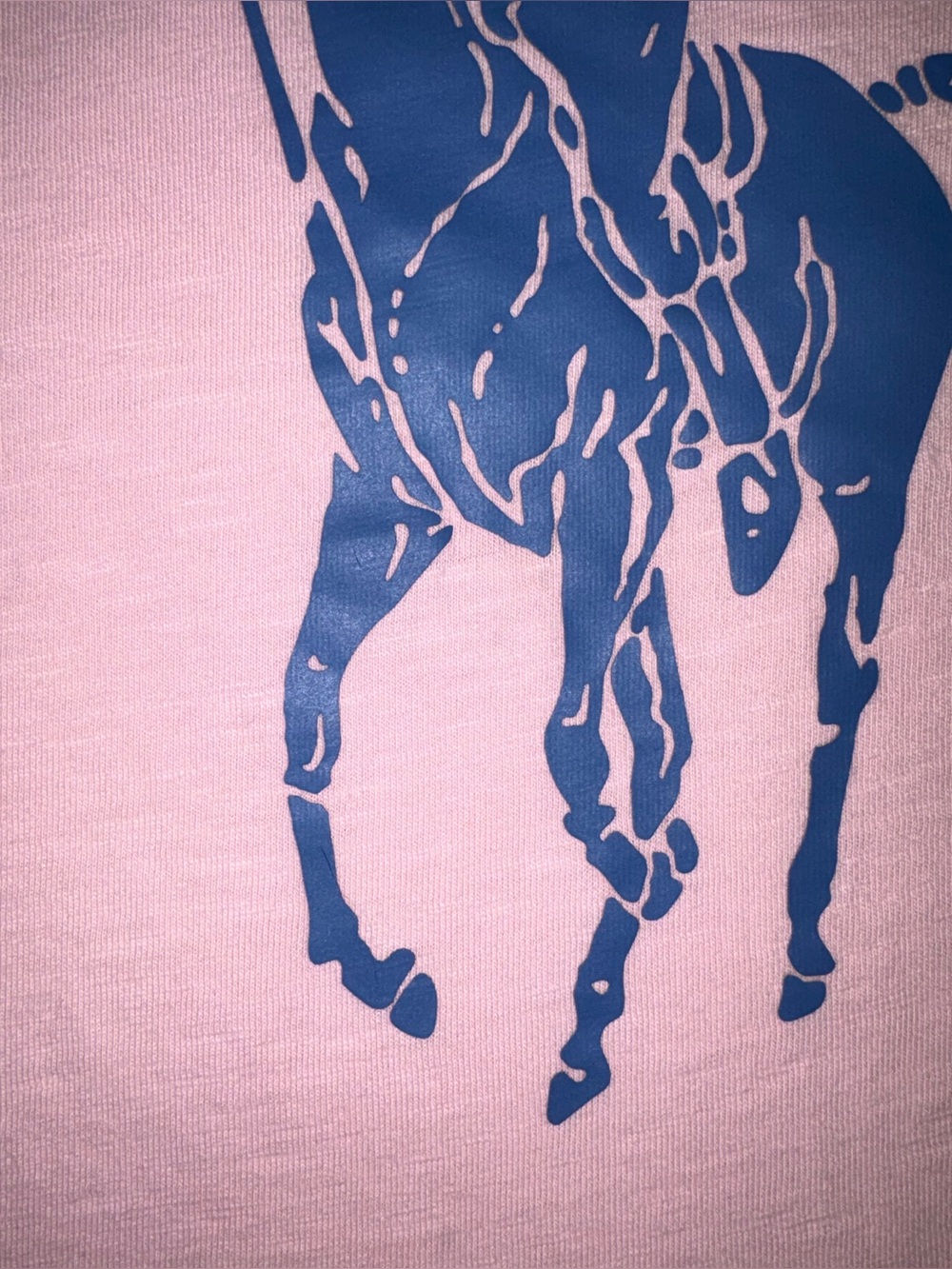 Polo Ralph Lauren  Women’s Big Pony Graphic Tee Pink Blue Logo T-Shirt - XL - Picture 3 of 14